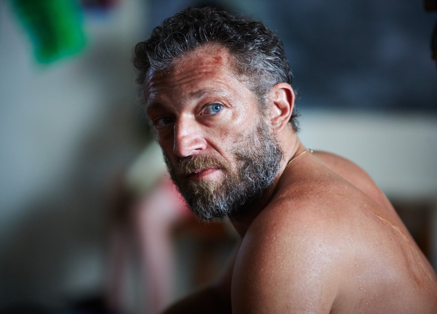 Vincent Cassel