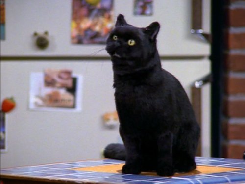 Salem Saberhagen