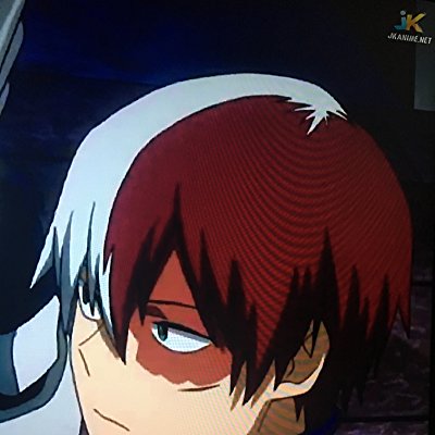 Shouto Todoroki