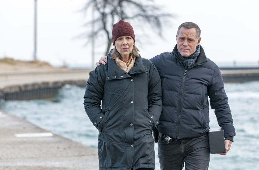 Hank Voight