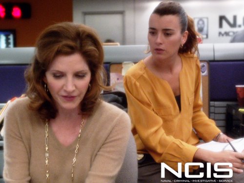 Gibbs' Ex Wife