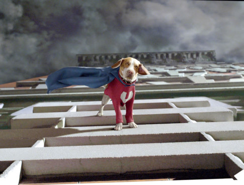 Underdog