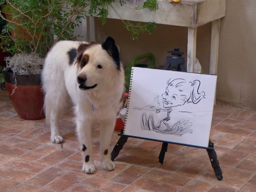 Stan the dog