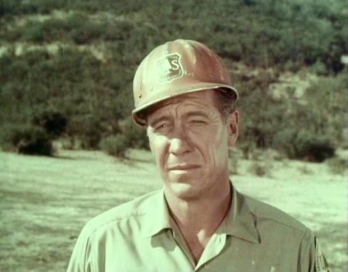 Robert Bray