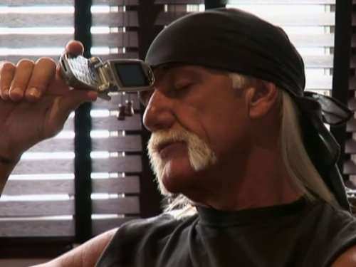 Hulk Hogan
