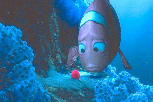 Nemo