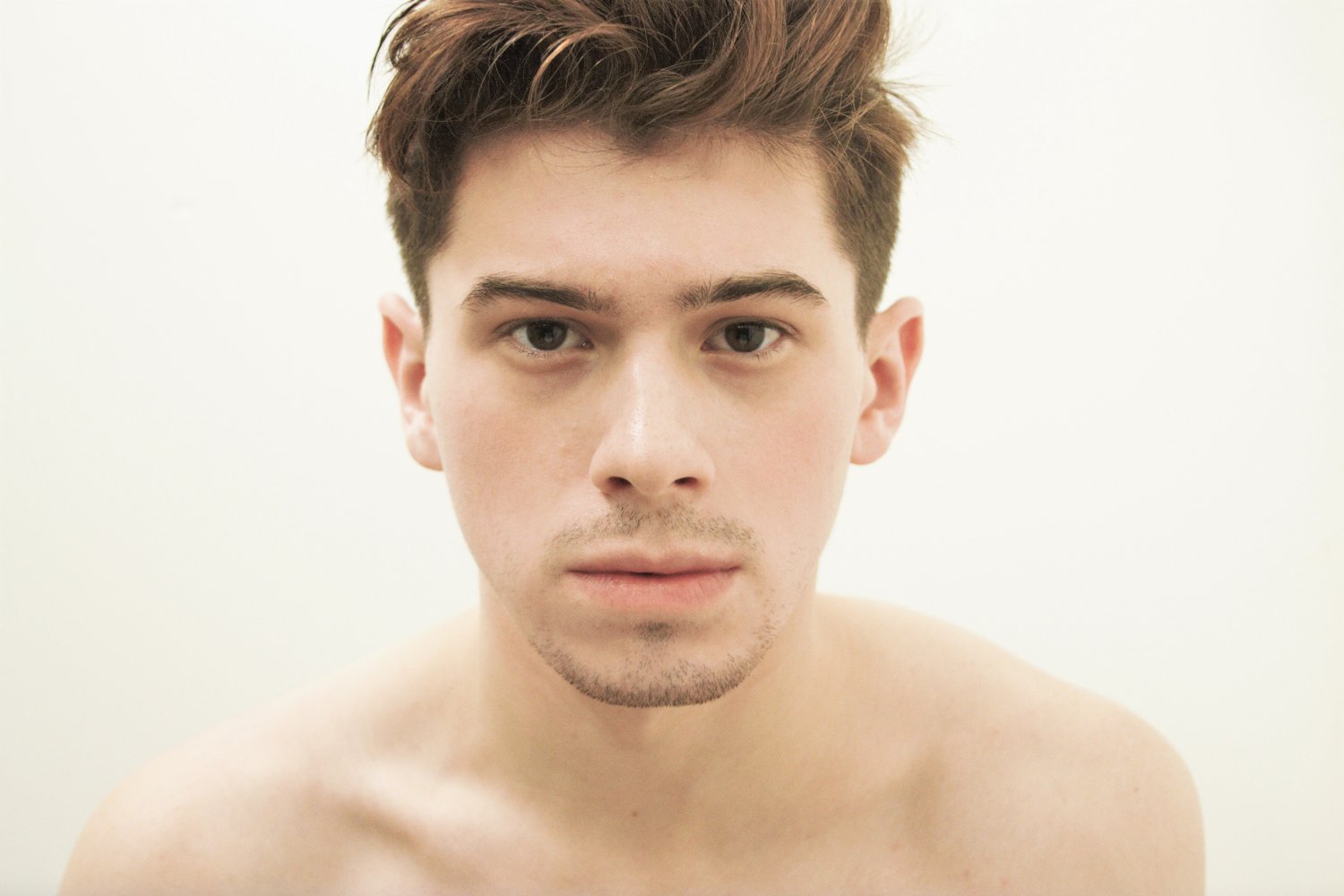 David Armanino