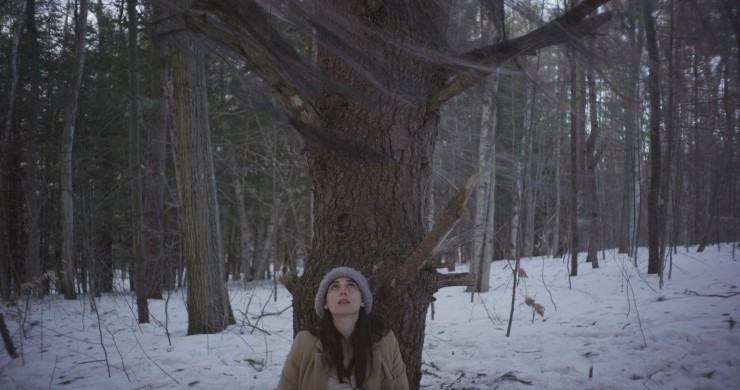 Rebecca Dayan
