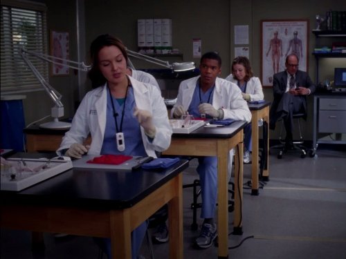 Dr. Shane Ross