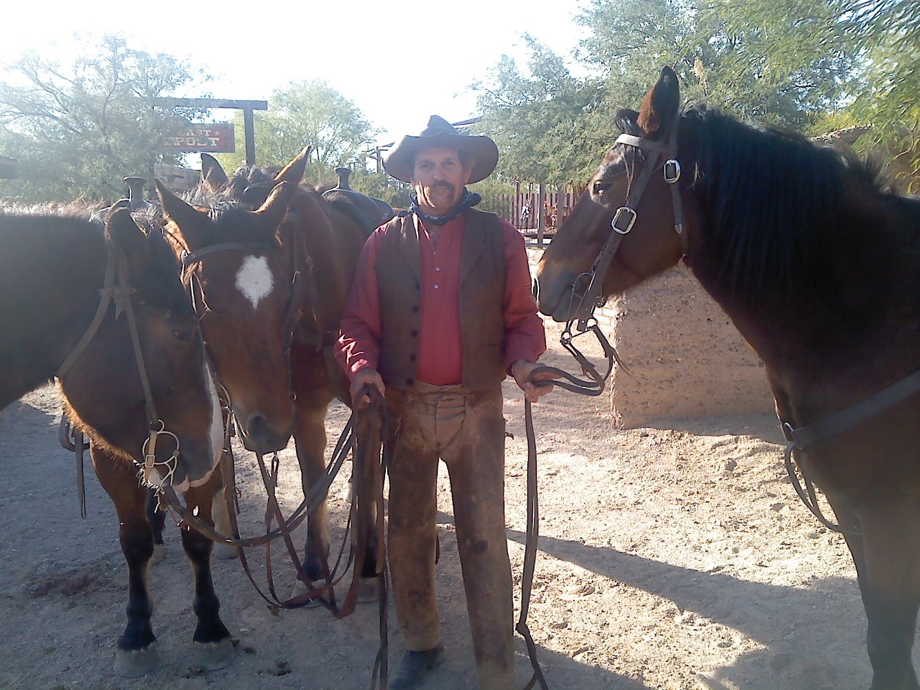 Tucson Vernon Walker