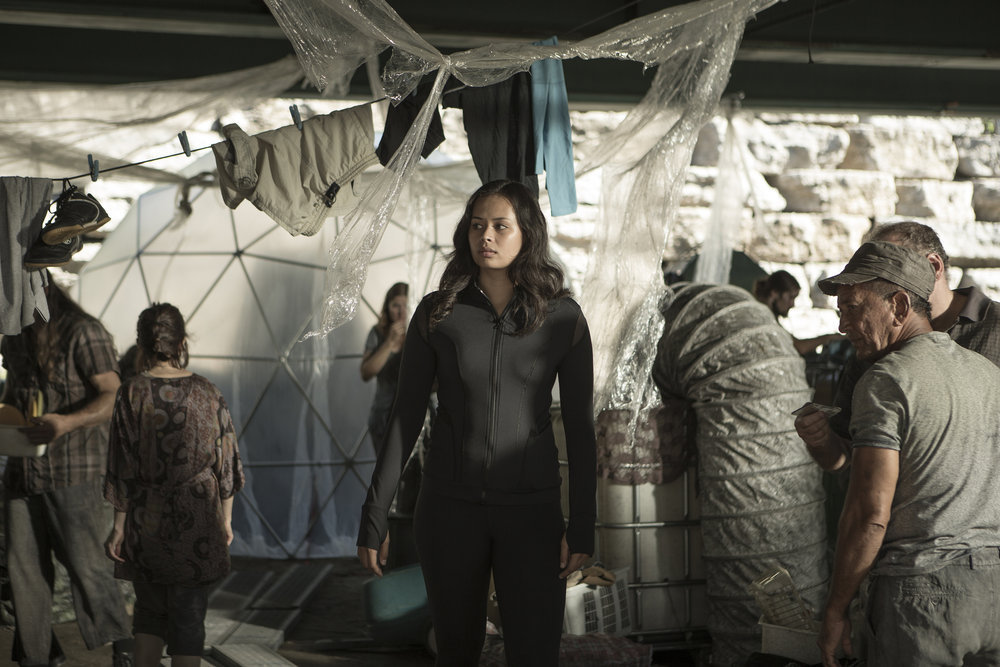 Frankie Adams