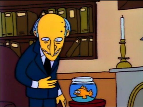 Mr. Burns