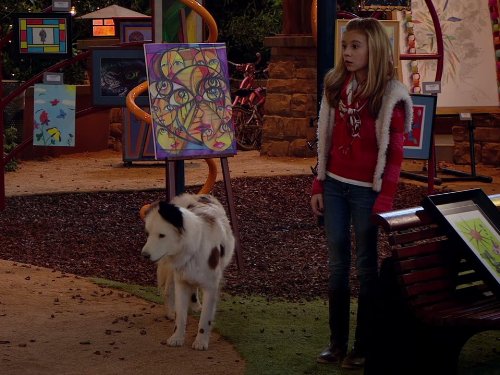 Stan the dog