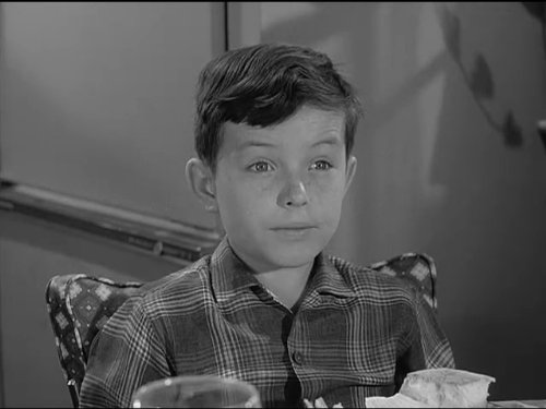 Theodore 'Beaver' Cleaver