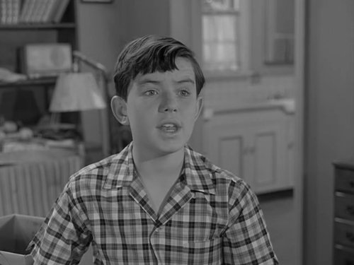 Theodore 'Beaver' Cleaver