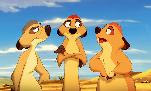 Timon