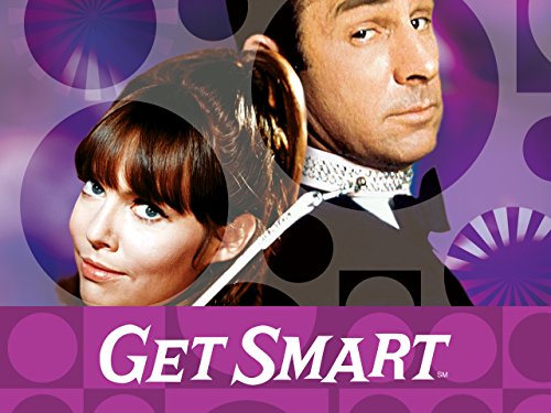 Barbara Feldon