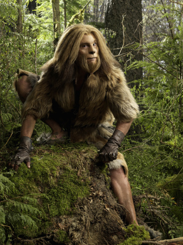 The Cowardly Lion