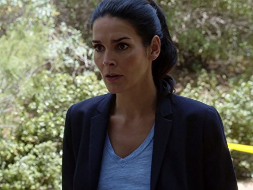 Angie Harmon