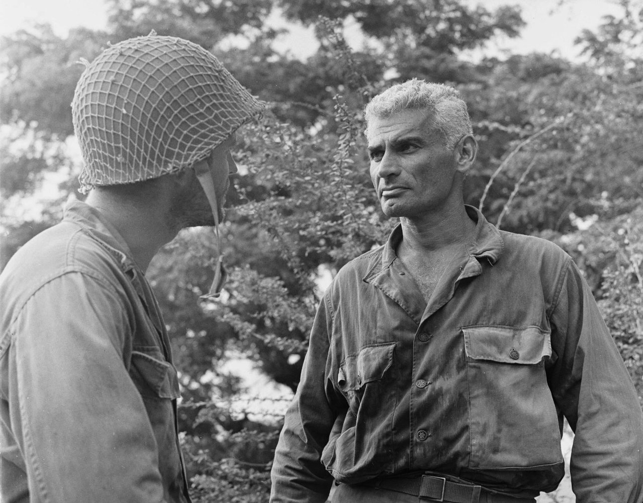 Ty Hardin