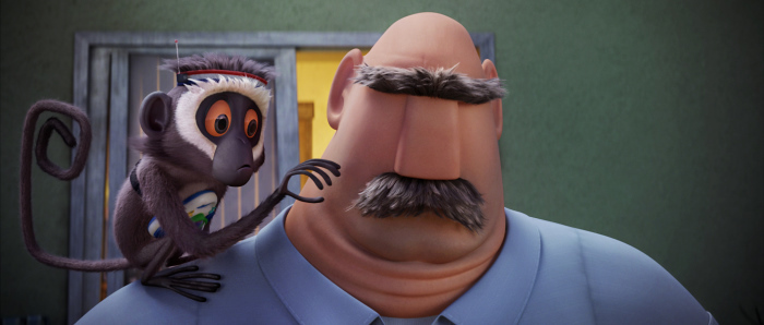 Steve