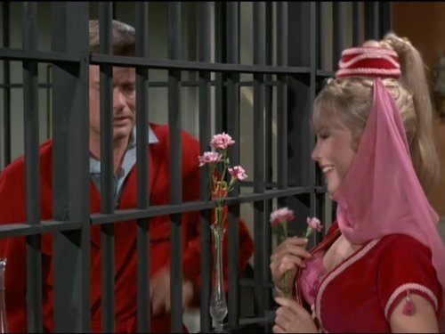 Barbara Eden