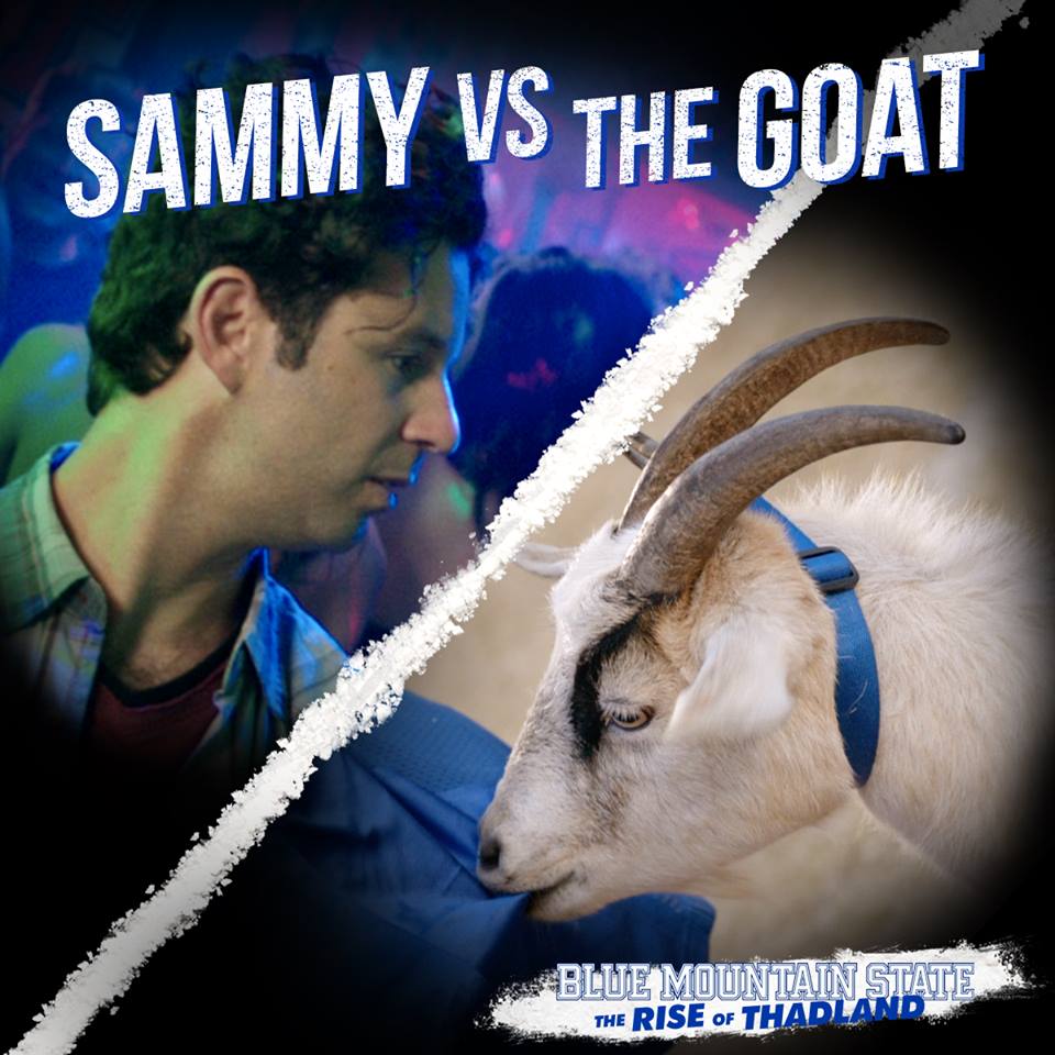 Sammy Cacciatore