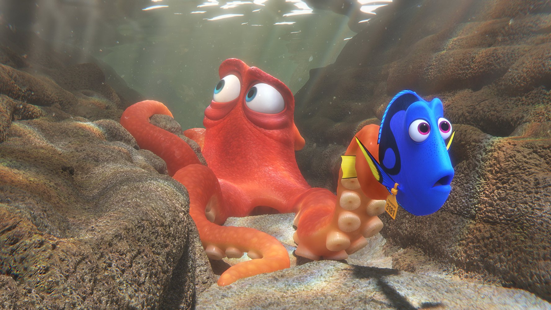 Dory