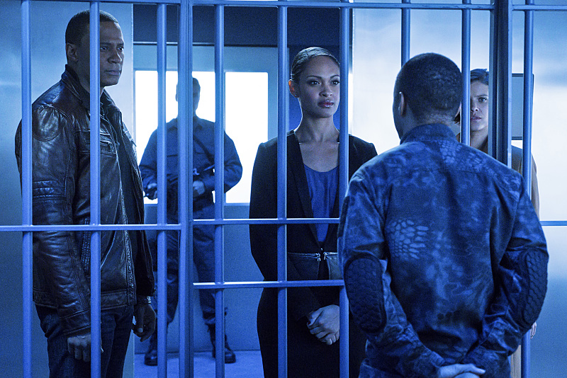 Amanda Waller