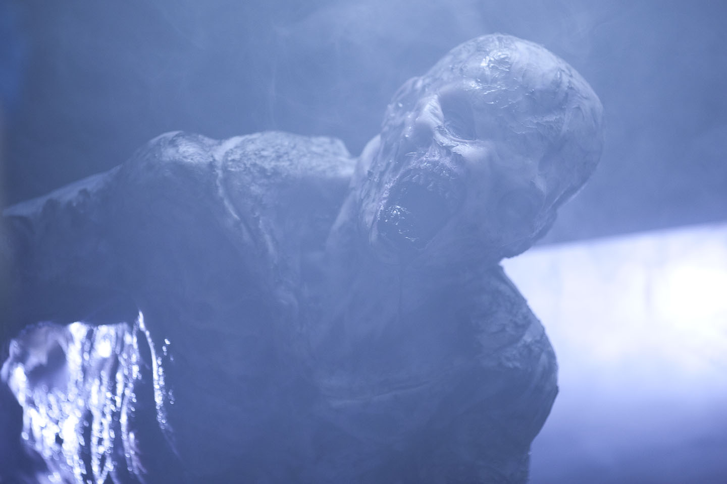 The Creature