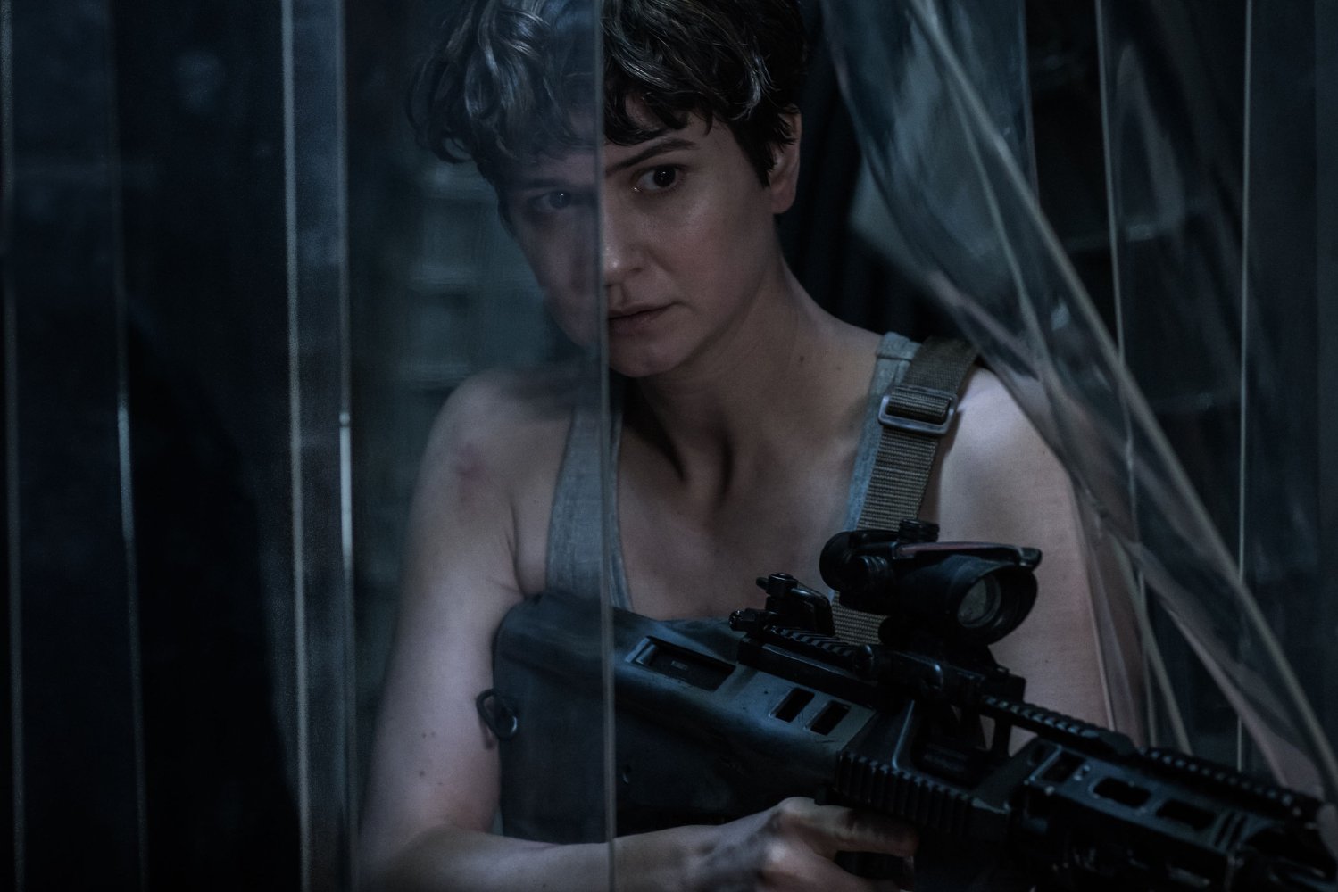 Katherine Waterston