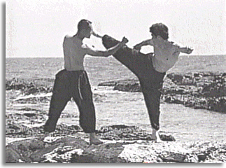 Dan Inosanto