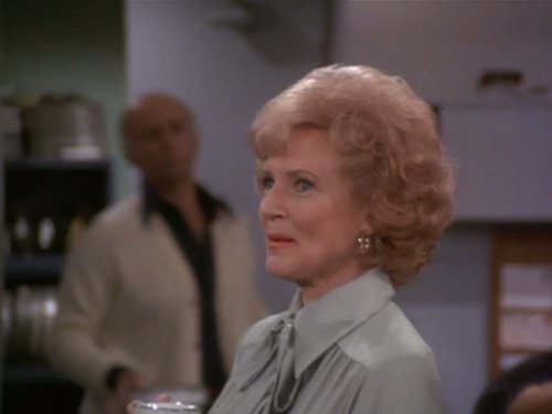 Sue Ann Nivens