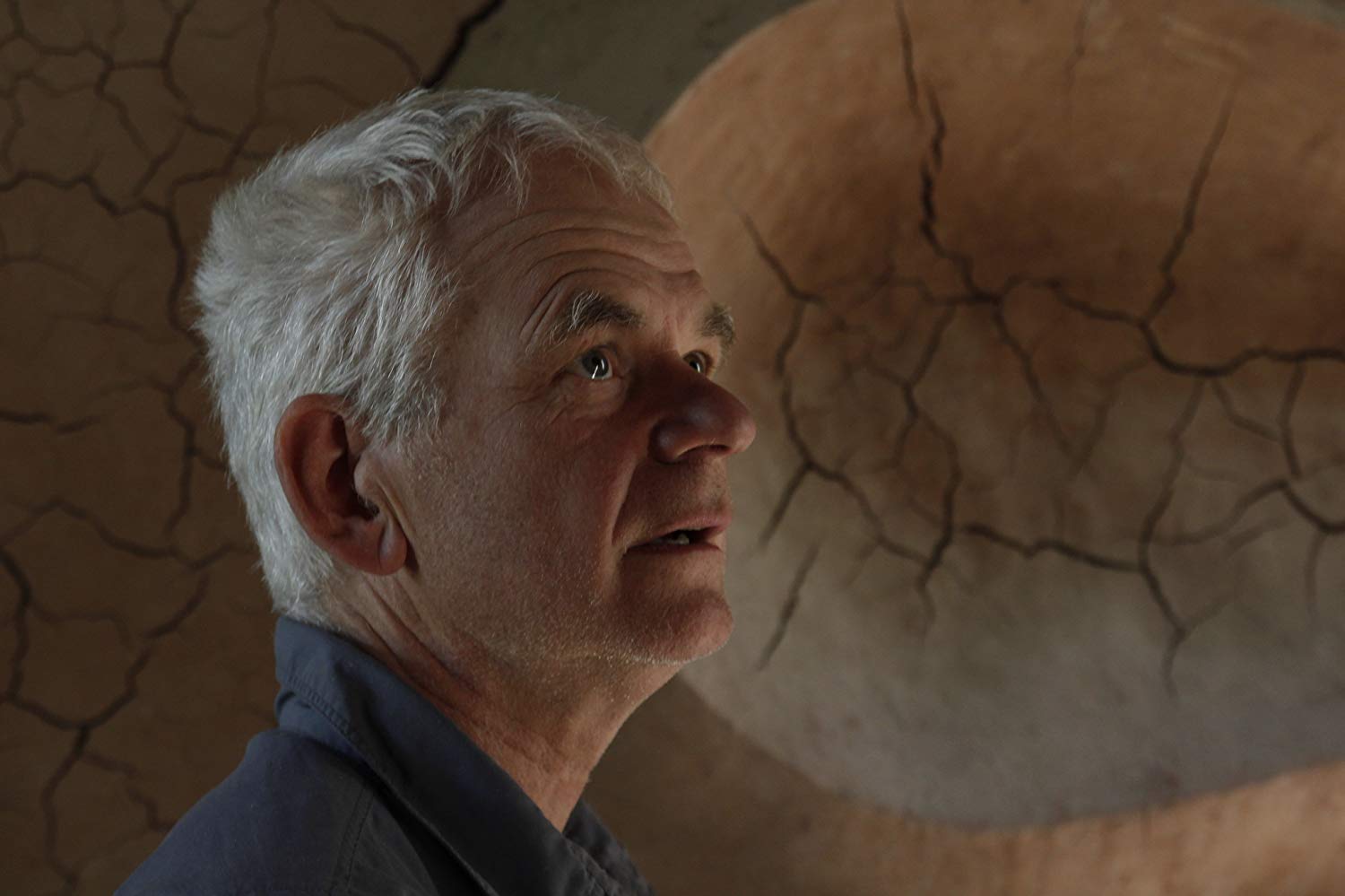 Andy Goldsworthy