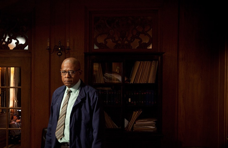 Ali Sokhela