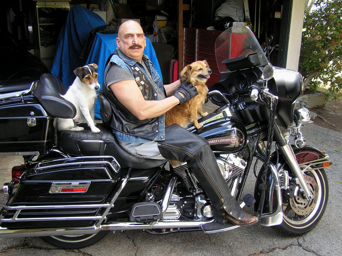 Buddy Daniels Friedman