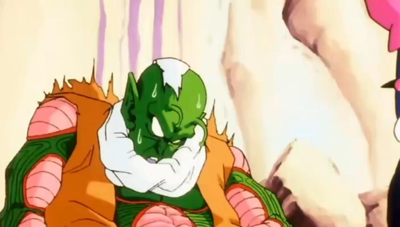 Namekian Warrior