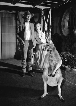 Jed Clampett