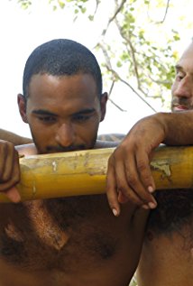 Albert Destrade