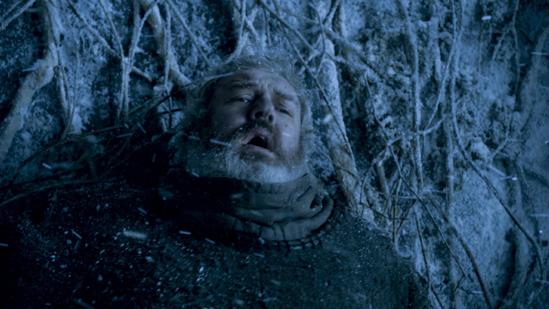 Hodor