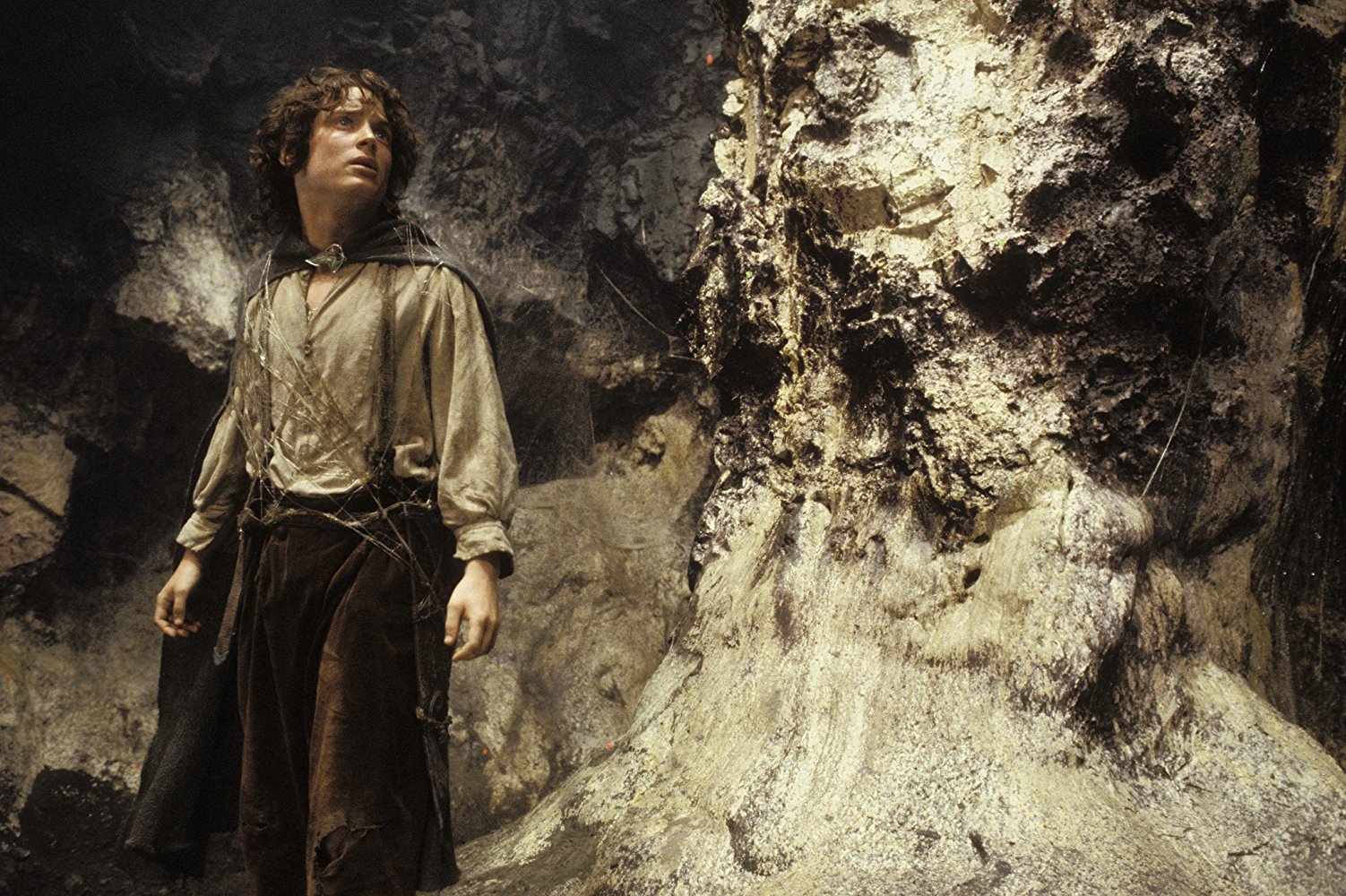 Frodo Baggins
