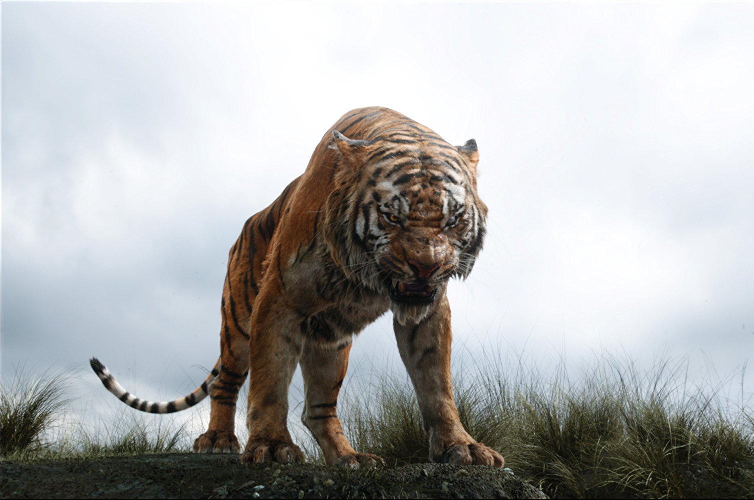 Shere Khan