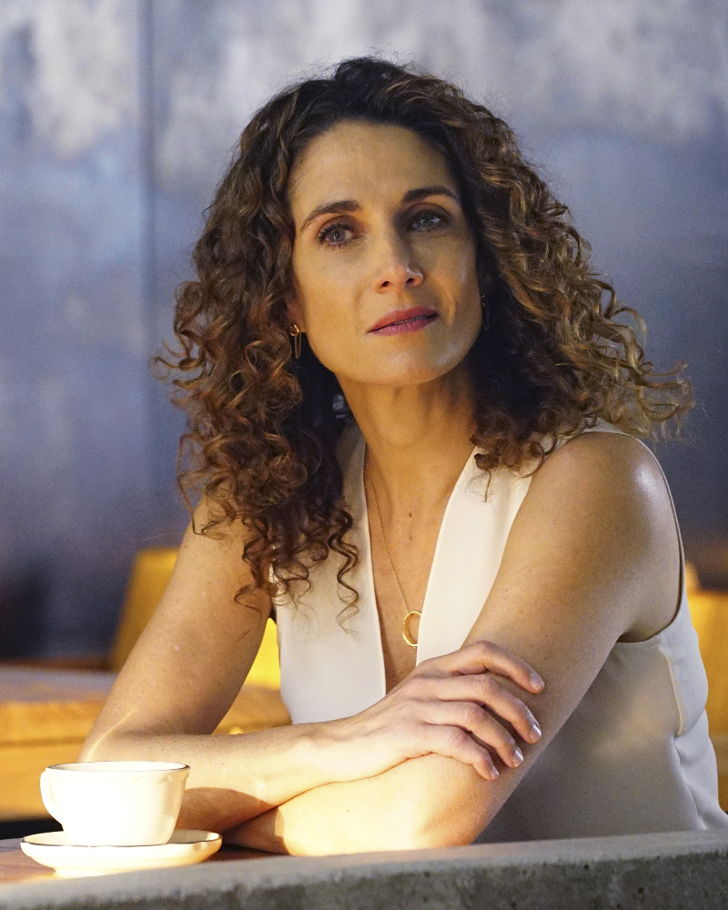 All about celebrity Melina Kanakaredes! Birthday: 23 April 1967, Akron,  Ohio, USA! Fusion Movies