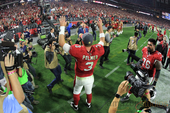 Carson Palmer