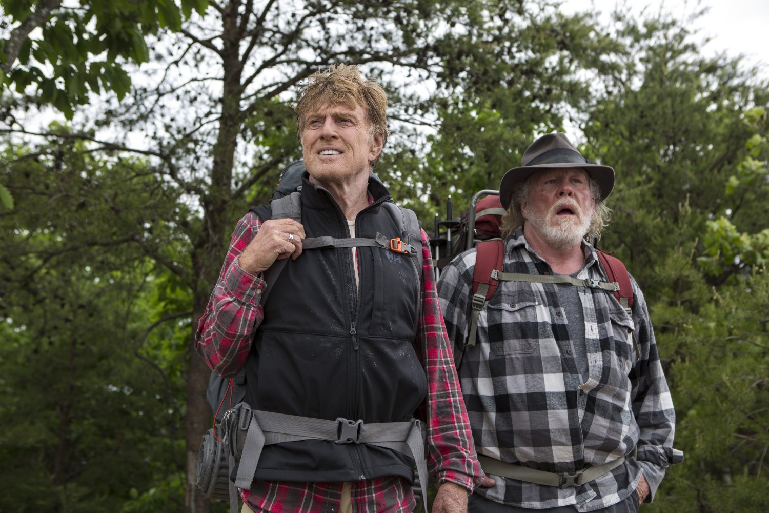 Nick Nolte