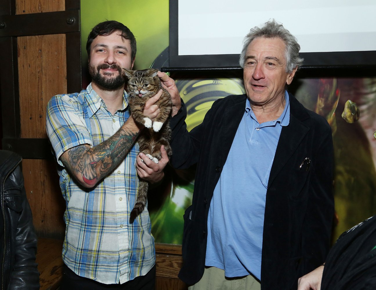 Lil Bub