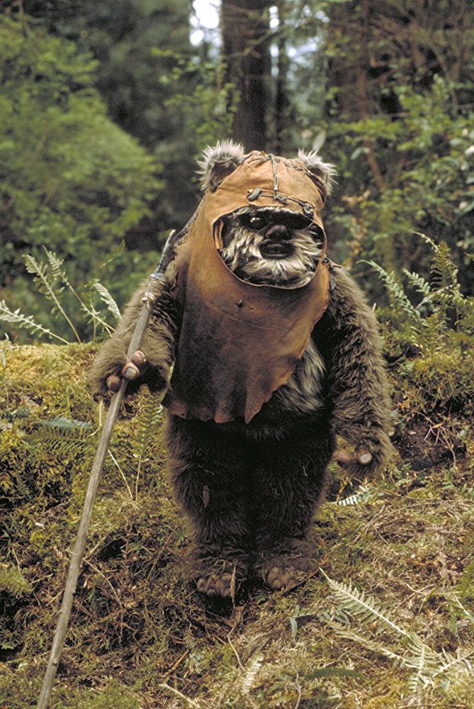 Wicket W. Warrick