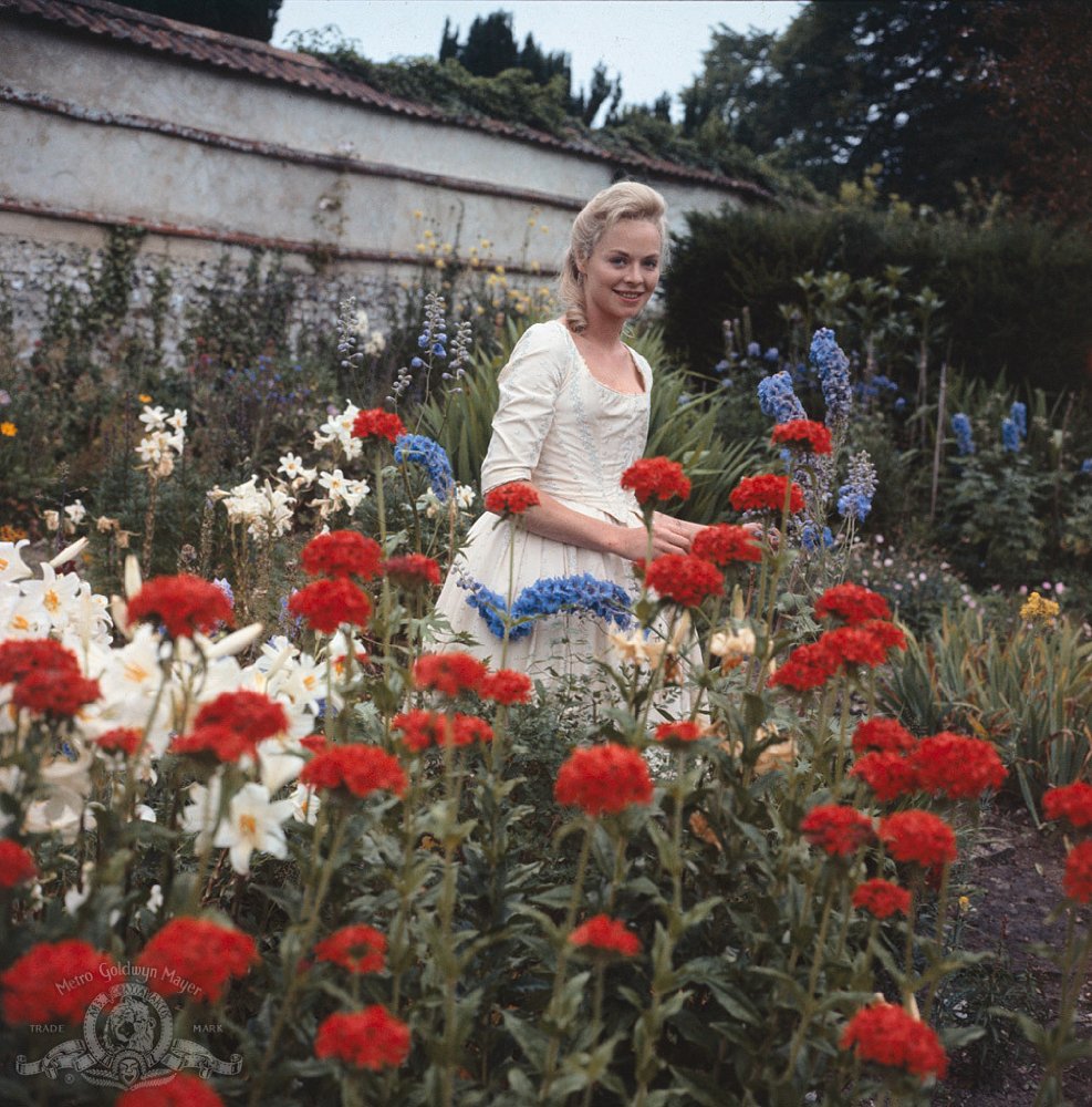 Susannah York