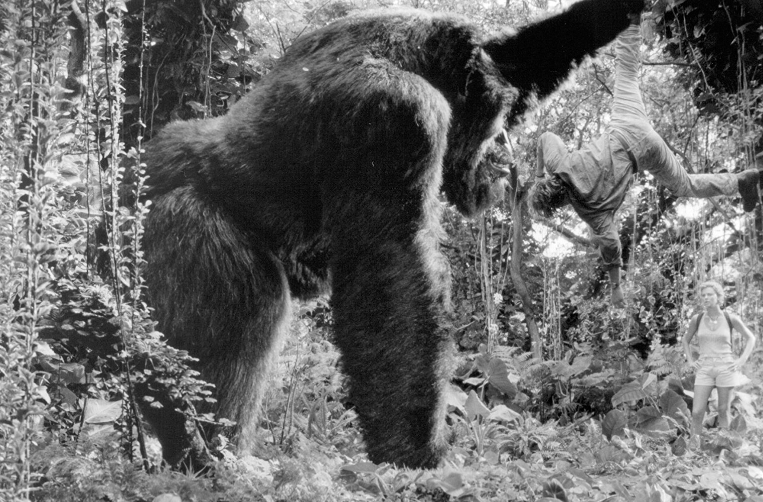 Mighty Joe Young