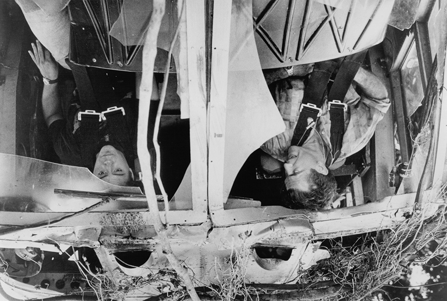 Gene